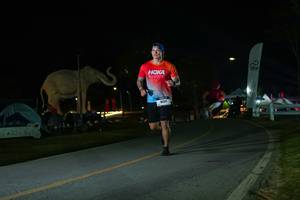 BIB: 
                            <button type="button" onclick="openModal(26172919)" class="btn btn-primary btn-sm float-right btn-popup" data-toggle="modal" data-target=".modal-high-quality">
                        <i class="fas fa-shopping-cart"></i> Add to Cart
                    </button>
                                            <button type="button" onclick="isThisMe(26172919, true)" class="btn btn-success btn-sm float-right btn-popup btn-isme hidden" data-toggle="tooltip" data-placement="bottom" title="นี่คือรูปของคุณใช่ไหม คลิกที่นี่เพื่อเอาเข้าอัลบั้ม">
                        <i class="fas fa-plus"></i> Add to album
                    </button>
                    <button type="button" onclick="isThisMe(26172919, false)" class="btn btn-warning btn-sm float-right btn-popup btn-isnotme hidden">
                        <i class="fas fa-ban"></i> Remove from album
                    </button>