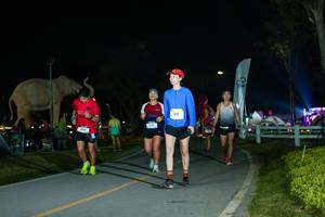 BIB: 
                            <button type="button" onclick="openModal(26173103)" class="btn btn-primary btn-sm float-right btn-popup" data-toggle="modal" data-target=".modal-high-quality">
                        <i class="fas fa-shopping-cart"></i> Add to Cart
                    </button>
                                            <button type="button" onclick="isThisMe(26173103, true)" class="btn btn-success btn-sm float-right btn-popup btn-isme hidden" data-toggle="tooltip" data-placement="bottom" title="นี่คือรูปของคุณใช่ไหม คลิกที่นี่เพื่อเอาเข้าอัลบั้ม">
                        <i class="fas fa-plus"></i> Add to album
                    </button>
                    <button type="button" onclick="isThisMe(26173103, false)" class="btn btn-warning btn-sm float-right btn-popup btn-isnotme hidden">
                        <i class="fas fa-ban"></i> Remove from album
                    </button>