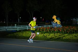 BIB: 
                            <button type="button" onclick="openModal(26170439)" class="btn btn-primary btn-sm float-right btn-popup" data-toggle="modal" data-target=".modal-high-quality">
                        <i class="fas fa-shopping-cart"></i> Add to Cart
                    </button>
                                            <button type="button" onclick="isThisMe(26170439, true)" class="btn btn-success btn-sm float-right btn-popup btn-isme hidden" data-toggle="tooltip" data-placement="bottom" title="นี่คือรูปของคุณใช่ไหม คลิกที่นี่เพื่อเอาเข้าอัลบั้ม">
                        <i class="fas fa-plus"></i> Add to album
                    </button>
                    <button type="button" onclick="isThisMe(26170439, false)" class="btn btn-warning btn-sm float-right btn-popup btn-isnotme hidden">
                        <i class="fas fa-ban"></i> Remove from album
                    </button>