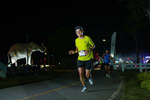 BIB: 
                            <button type="button" onclick="openModal(26172289)" class="btn btn-primary btn-sm float-right btn-popup" data-toggle="modal" data-target=".modal-high-quality">
                        <i class="fas fa-shopping-cart"></i> Add to Cart
                    </button>
                                            <button type="button" onclick="isThisMe(26172289, true)" class="btn btn-success btn-sm float-right btn-popup btn-isme hidden" data-toggle="tooltip" data-placement="bottom" title="นี่คือรูปของคุณใช่ไหม คลิกที่นี่เพื่อเอาเข้าอัลบั้ม">
                        <i class="fas fa-plus"></i> Add to album
                    </button>
                    <button type="button" onclick="isThisMe(26172289, false)" class="btn btn-warning btn-sm float-right btn-popup btn-isnotme hidden">
                        <i class="fas fa-ban"></i> Remove from album
                    </button>