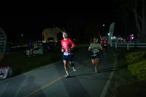 BIB: 
                            <button type="button" onclick="openModal(26171783)" class="btn btn-primary btn-sm float-right btn-popup" data-toggle="modal" data-target=".modal-high-quality">
                        <i class="fas fa-shopping-cart"></i> Add to Cart
                    </button>
                                            <button type="button" onclick="isThisMe(26171783, true)" class="btn btn-success btn-sm float-right btn-popup btn-isme hidden" data-toggle="tooltip" data-placement="bottom" title="นี่คือรูปของคุณใช่ไหม คลิกที่นี่เพื่อเอาเข้าอัลบั้ม">
                        <i class="fas fa-plus"></i> Add to album
                    </button>
                    <button type="button" onclick="isThisMe(26171783, false)" class="btn btn-warning btn-sm float-right btn-popup btn-isnotme hidden">
                        <i class="fas fa-ban"></i> Remove from album
                    </button>