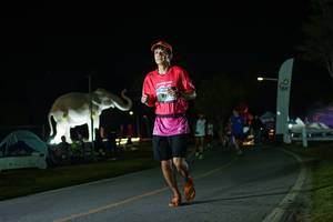 BIB: 
                            <button type="button" onclick="openModal(26172155)" class="btn btn-primary btn-sm float-right btn-popup" data-toggle="modal" data-target=".modal-high-quality">
                        <i class="fas fa-shopping-cart"></i> Add to Cart
                    </button>
                                            <button type="button" onclick="isThisMe(26172155, true)" class="btn btn-success btn-sm float-right btn-popup btn-isme hidden" data-toggle="tooltip" data-placement="bottom" title="นี่คือรูปของคุณใช่ไหม คลิกที่นี่เพื่อเอาเข้าอัลบั้ม">
                        <i class="fas fa-plus"></i> Add to album
                    </button>
                    <button type="button" onclick="isThisMe(26172155, false)" class="btn btn-warning btn-sm float-right btn-popup btn-isnotme hidden">
                        <i class="fas fa-ban"></i> Remove from album
                    </button>