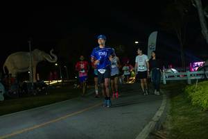 BIB: 
                            <button type="button" onclick="openModal(26172899)" class="btn btn-primary btn-sm float-right btn-popup" data-toggle="modal" data-target=".modal-high-quality">
                        <i class="fas fa-shopping-cart"></i> Add to Cart
                    </button>
                                            <button type="button" onclick="isThisMe(26172899, true)" class="btn btn-success btn-sm float-right btn-popup btn-isme hidden" data-toggle="tooltip" data-placement="bottom" title="นี่คือรูปของคุณใช่ไหม คลิกที่นี่เพื่อเอาเข้าอัลบั้ม">
                        <i class="fas fa-plus"></i> Add to album
                    </button>
                    <button type="button" onclick="isThisMe(26172899, false)" class="btn btn-warning btn-sm float-right btn-popup btn-isnotme hidden">
                        <i class="fas fa-ban"></i> Remove from album
                    </button>