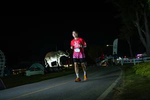 BIB: 
                            <button type="button" onclick="openModal(26171945)" class="btn btn-primary btn-sm float-right btn-popup" data-toggle="modal" data-target=".modal-high-quality">
                        <i class="fas fa-shopping-cart"></i> Add to Cart
                    </button>
                                            <button type="button" onclick="isThisMe(26171945, true)" class="btn btn-success btn-sm float-right btn-popup btn-isme hidden" data-toggle="tooltip" data-placement="bottom" title="นี่คือรูปของคุณใช่ไหม คลิกที่นี่เพื่อเอาเข้าอัลบั้ม">
                        <i class="fas fa-plus"></i> Add to album
                    </button>
                    <button type="button" onclick="isThisMe(26171945, false)" class="btn btn-warning btn-sm float-right btn-popup btn-isnotme hidden">
                        <i class="fas fa-ban"></i> Remove from album
                    </button>