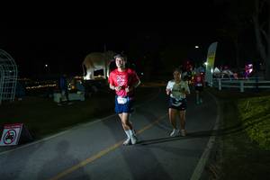 BIB: 
                            <button type="button" onclick="openModal(26171785)" class="btn btn-primary btn-sm float-right btn-popup" data-toggle="modal" data-target=".modal-high-quality">
                        <i class="fas fa-shopping-cart"></i> Add to Cart
                    </button>
                                            <button type="button" onclick="isThisMe(26171785, true)" class="btn btn-success btn-sm float-right btn-popup btn-isme hidden" data-toggle="tooltip" data-placement="bottom" title="นี่คือรูปของคุณใช่ไหม คลิกที่นี่เพื่อเอาเข้าอัลบั้ม">
                        <i class="fas fa-plus"></i> Add to album
                    </button>
                    <button type="button" onclick="isThisMe(26171785, false)" class="btn btn-warning btn-sm float-right btn-popup btn-isnotme hidden">
                        <i class="fas fa-ban"></i> Remove from album
                    </button>