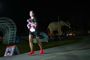 BIB: 
                            <button type="button" onclick="openModal(26172656)" class="btn btn-primary btn-sm float-right btn-popup" data-toggle="modal" data-target=".modal-high-quality">
                        <i class="fas fa-shopping-cart"></i> Add to Cart
                    </button>
                                            <button type="button" onclick="isThisMe(26172656, true)" class="btn btn-success btn-sm float-right btn-popup btn-isme hidden" data-toggle="tooltip" data-placement="bottom" title="นี่คือรูปของคุณใช่ไหม คลิกที่นี่เพื่อเอาเข้าอัลบั้ม">
                        <i class="fas fa-plus"></i> Add to album
                    </button>
                    <button type="button" onclick="isThisMe(26172656, false)" class="btn btn-warning btn-sm float-right btn-popup btn-isnotme hidden">
                        <i class="fas fa-ban"></i> Remove from album
                    </button>