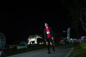 BIB: 
                            <button type="button" onclick="openModal(26172053)" class="btn btn-primary btn-sm float-right btn-popup" data-toggle="modal" data-target=".modal-high-quality">
                        <i class="fas fa-shopping-cart"></i> Add to Cart
                    </button>
                                            <button type="button" onclick="isThisMe(26172053, true)" class="btn btn-success btn-sm float-right btn-popup btn-isme hidden" data-toggle="tooltip" data-placement="bottom" title="นี่คือรูปของคุณใช่ไหม คลิกที่นี่เพื่อเอาเข้าอัลบั้ม">
                        <i class="fas fa-plus"></i> Add to album
                    </button>
                    <button type="button" onclick="isThisMe(26172053, false)" class="btn btn-warning btn-sm float-right btn-popup btn-isnotme hidden">
                        <i class="fas fa-ban"></i> Remove from album
                    </button>