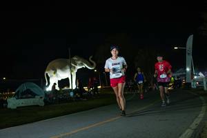 BIB: 
                            <button type="button" onclick="openModal(26172269)" class="btn btn-primary btn-sm float-right btn-popup" data-toggle="modal" data-target=".modal-high-quality">
                        <i class="fas fa-shopping-cart"></i> Add to Cart
                    </button>
                                            <button type="button" onclick="isThisMe(26172269, true)" class="btn btn-success btn-sm float-right btn-popup btn-isme hidden" data-toggle="tooltip" data-placement="bottom" title="นี่คือรูปของคุณใช่ไหม คลิกที่นี่เพื่อเอาเข้าอัลบั้ม">
                        <i class="fas fa-plus"></i> Add to album
                    </button>
                    <button type="button" onclick="isThisMe(26172269, false)" class="btn btn-warning btn-sm float-right btn-popup btn-isnotme hidden">
                        <i class="fas fa-ban"></i> Remove from album
                    </button>