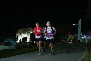 BIB: 
                            <button type="button" onclick="openModal(26172285)" class="btn btn-primary btn-sm float-right btn-popup" data-toggle="modal" data-target=".modal-high-quality">
                        <i class="fas fa-shopping-cart"></i> Add to Cart
                    </button>
                                            <button type="button" onclick="isThisMe(26172285, true)" class="btn btn-success btn-sm float-right btn-popup btn-isme hidden" data-toggle="tooltip" data-placement="bottom" title="นี่คือรูปของคุณใช่ไหม คลิกที่นี่เพื่อเอาเข้าอัลบั้ม">
                        <i class="fas fa-plus"></i> Add to album
                    </button>
                    <button type="button" onclick="isThisMe(26172285, false)" class="btn btn-warning btn-sm float-right btn-popup btn-isnotme hidden">
                        <i class="fas fa-ban"></i> Remove from album
                    </button>