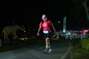 BIB: 
                            <button type="button" onclick="openModal(26172387)" class="btn btn-primary btn-sm float-right btn-popup" data-toggle="modal" data-target=".modal-high-quality">
                        <i class="fas fa-shopping-cart"></i> Add to Cart
                    </button>
                                            <button type="button" onclick="isThisMe(26172387, true)" class="btn btn-success btn-sm float-right btn-popup btn-isme hidden" data-toggle="tooltip" data-placement="bottom" title="นี่คือรูปของคุณใช่ไหม คลิกที่นี่เพื่อเอาเข้าอัลบั้ม">
                        <i class="fas fa-plus"></i> Add to album
                    </button>
                    <button type="button" onclick="isThisMe(26172387, false)" class="btn btn-warning btn-sm float-right btn-popup btn-isnotme hidden">
                        <i class="fas fa-ban"></i> Remove from album
                    </button>