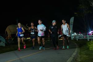 BIB: 
                            <button type="button" onclick="openModal(26172769)" class="btn btn-primary btn-sm float-right btn-popup" data-toggle="modal" data-target=".modal-high-quality">
                        <i class="fas fa-shopping-cart"></i> Add to Cart
                    </button>
                                            <button type="button" onclick="isThisMe(26172769, true)" class="btn btn-success btn-sm float-right btn-popup btn-isme hidden" data-toggle="tooltip" data-placement="bottom" title="นี่คือรูปของคุณใช่ไหม คลิกที่นี่เพื่อเอาเข้าอัลบั้ม">
                        <i class="fas fa-plus"></i> Add to album
                    </button>
                    <button type="button" onclick="isThisMe(26172769, false)" class="btn btn-warning btn-sm float-right btn-popup btn-isnotme hidden">
                        <i class="fas fa-ban"></i> Remove from album
                    </button>