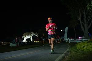 BIB: 
                            <button type="button" onclick="openModal(26171866)" class="btn btn-primary btn-sm float-right btn-popup" data-toggle="modal" data-target=".modal-high-quality">
                        <i class="fas fa-shopping-cart"></i> Add to Cart
                    </button>
                                            <button type="button" onclick="isThisMe(26171866, true)" class="btn btn-success btn-sm float-right btn-popup btn-isme hidden" data-toggle="tooltip" data-placement="bottom" title="นี่คือรูปของคุณใช่ไหม คลิกที่นี่เพื่อเอาเข้าอัลบั้ม">
                        <i class="fas fa-plus"></i> Add to album
                    </button>
                    <button type="button" onclick="isThisMe(26171866, false)" class="btn btn-warning btn-sm float-right btn-popup btn-isnotme hidden">
                        <i class="fas fa-ban"></i> Remove from album
                    </button>