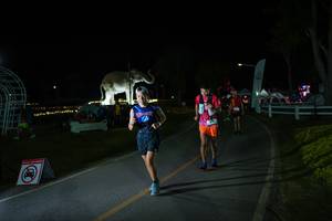 BIB: 
                            <button type="button" onclick="openModal(26171676)" class="btn btn-primary btn-sm float-right btn-popup" data-toggle="modal" data-target=".modal-high-quality">
                        <i class="fas fa-shopping-cart"></i> Add to Cart
                    </button>
                                            <button type="button" onclick="isThisMe(26171676, true)" class="btn btn-success btn-sm float-right btn-popup btn-isme hidden" data-toggle="tooltip" data-placement="bottom" title="นี่คือรูปของคุณใช่ไหม คลิกที่นี่เพื่อเอาเข้าอัลบั้ม">
                        <i class="fas fa-plus"></i> Add to album
                    </button>
                    <button type="button" onclick="isThisMe(26171676, false)" class="btn btn-warning btn-sm float-right btn-popup btn-isnotme hidden">
                        <i class="fas fa-ban"></i> Remove from album
                    </button>