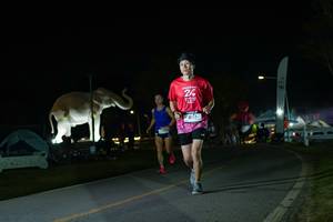 BIB: 
                            <button type="button" onclick="openModal(26172281)" class="btn btn-primary btn-sm float-right btn-popup" data-toggle="modal" data-target=".modal-high-quality">
                        <i class="fas fa-shopping-cart"></i> Add to Cart
                    </button>
                                            <button type="button" onclick="isThisMe(26172281, true)" class="btn btn-success btn-sm float-right btn-popup btn-isme hidden" data-toggle="tooltip" data-placement="bottom" title="นี่คือรูปของคุณใช่ไหม คลิกที่นี่เพื่อเอาเข้าอัลบั้ม">
                        <i class="fas fa-plus"></i> Add to album
                    </button>
                    <button type="button" onclick="isThisMe(26172281, false)" class="btn btn-warning btn-sm float-right btn-popup btn-isnotme hidden">
                        <i class="fas fa-ban"></i> Remove from album
                    </button>