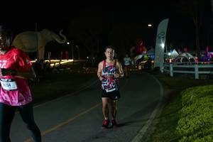 BIB: 
                            <button type="button" onclick="openModal(26173042)" class="btn btn-primary btn-sm float-right btn-popup" data-toggle="modal" data-target=".modal-high-quality">
                        <i class="fas fa-shopping-cart"></i> Add to Cart
                    </button>
                                            <button type="button" onclick="isThisMe(26173042, true)" class="btn btn-success btn-sm float-right btn-popup btn-isme hidden" data-toggle="tooltip" data-placement="bottom" title="นี่คือรูปของคุณใช่ไหม คลิกที่นี่เพื่อเอาเข้าอัลบั้ม">
                        <i class="fas fa-plus"></i> Add to album
                    </button>
                    <button type="button" onclick="isThisMe(26173042, false)" class="btn btn-warning btn-sm float-right btn-popup btn-isnotme hidden">
                        <i class="fas fa-ban"></i> Remove from album
                    </button>