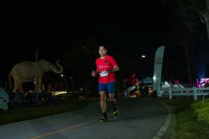 BIB: 
                            <button type="button" onclick="openModal(26172924)" class="btn btn-primary btn-sm float-right btn-popup" data-toggle="modal" data-target=".modal-high-quality">
                        <i class="fas fa-shopping-cart"></i> Add to Cart
                    </button>
                                            <button type="button" onclick="isThisMe(26172924, true)" class="btn btn-success btn-sm float-right btn-popup btn-isme hidden" data-toggle="tooltip" data-placement="bottom" title="นี่คือรูปของคุณใช่ไหม คลิกที่นี่เพื่อเอาเข้าอัลบั้ม">
                        <i class="fas fa-plus"></i> Add to album
                    </button>
                    <button type="button" onclick="isThisMe(26172924, false)" class="btn btn-warning btn-sm float-right btn-popup btn-isnotme hidden">
                        <i class="fas fa-ban"></i> Remove from album
                    </button>