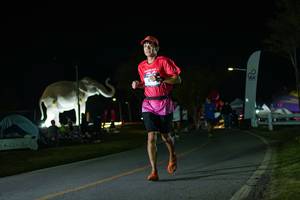 BIB: 
                            <button type="button" onclick="openModal(26172154)" class="btn btn-primary btn-sm float-right btn-popup" data-toggle="modal" data-target=".modal-high-quality">
                        <i class="fas fa-shopping-cart"></i> Add to Cart
                    </button>
                                            <button type="button" onclick="isThisMe(26172154, true)" class="btn btn-success btn-sm float-right btn-popup btn-isme hidden" data-toggle="tooltip" data-placement="bottom" title="นี่คือรูปของคุณใช่ไหม คลิกที่นี่เพื่อเอาเข้าอัลบั้ม">
                        <i class="fas fa-plus"></i> Add to album
                    </button>
                    <button type="button" onclick="isThisMe(26172154, false)" class="btn btn-warning btn-sm float-right btn-popup btn-isnotme hidden">
                        <i class="fas fa-ban"></i> Remove from album
                    </button>