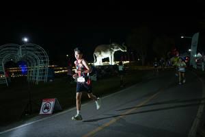 BIB: 
                            <button type="button" onclick="openModal(26171723)" class="btn btn-primary btn-sm float-right btn-popup" data-toggle="modal" data-target=".modal-high-quality">
                        <i class="fas fa-shopping-cart"></i> Add to Cart
                    </button>
                                            <button type="button" onclick="isThisMe(26171723, true)" class="btn btn-success btn-sm float-right btn-popup btn-isme hidden" data-toggle="tooltip" data-placement="bottom" title="นี่คือรูปของคุณใช่ไหม คลิกที่นี่เพื่อเอาเข้าอัลบั้ม">
                        <i class="fas fa-plus"></i> Add to album
                    </button>
                    <button type="button" onclick="isThisMe(26171723, false)" class="btn btn-warning btn-sm float-right btn-popup btn-isnotme hidden">
                        <i class="fas fa-ban"></i> Remove from album
                    </button>