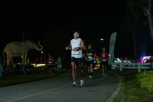 BIB: 
                            <button type="button" onclick="openModal(26172863)" class="btn btn-primary btn-sm float-right btn-popup" data-toggle="modal" data-target=".modal-high-quality">
                        <i class="fas fa-shopping-cart"></i> Add to Cart
                    </button>
                                            <button type="button" onclick="isThisMe(26172863, true)" class="btn btn-success btn-sm float-right btn-popup btn-isme hidden" data-toggle="tooltip" data-placement="bottom" title="นี่คือรูปของคุณใช่ไหม คลิกที่นี่เพื่อเอาเข้าอัลบั้ม">
                        <i class="fas fa-plus"></i> Add to album
                    </button>
                    <button type="button" onclick="isThisMe(26172863, false)" class="btn btn-warning btn-sm float-right btn-popup btn-isnotme hidden">
                        <i class="fas fa-ban"></i> Remove from album
                    </button>