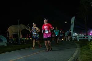 BIB: 
                            <button type="button" onclick="openModal(26172460)" class="btn btn-primary btn-sm float-right btn-popup" data-toggle="modal" data-target=".modal-high-quality">
                        <i class="fas fa-shopping-cart"></i> Add to Cart
                    </button>
                                            <button type="button" onclick="isThisMe(26172460, true)" class="btn btn-success btn-sm float-right btn-popup btn-isme hidden" data-toggle="tooltip" data-placement="bottom" title="นี่คือรูปของคุณใช่ไหม คลิกที่นี่เพื่อเอาเข้าอัลบั้ม">
                        <i class="fas fa-plus"></i> Add to album
                    </button>
                    <button type="button" onclick="isThisMe(26172460, false)" class="btn btn-warning btn-sm float-right btn-popup btn-isnotme hidden">
                        <i class="fas fa-ban"></i> Remove from album
                    </button>