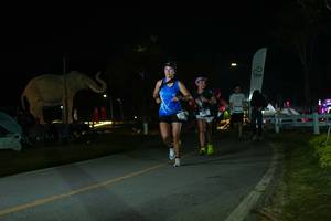 BIB: 
                            <button type="button" onclick="openModal(26172891)" class="btn btn-primary btn-sm float-right btn-popup" data-toggle="modal" data-target=".modal-high-quality">
                        <i class="fas fa-shopping-cart"></i> Add to Cart
                    </button>
                                            <button type="button" onclick="isThisMe(26172891, true)" class="btn btn-success btn-sm float-right btn-popup btn-isme hidden" data-toggle="tooltip" data-placement="bottom" title="นี่คือรูปของคุณใช่ไหม คลิกที่นี่เพื่อเอาเข้าอัลบั้ม">
                        <i class="fas fa-plus"></i> Add to album
                    </button>
                    <button type="button" onclick="isThisMe(26172891, false)" class="btn btn-warning btn-sm float-right btn-popup btn-isnotme hidden">
                        <i class="fas fa-ban"></i> Remove from album
                    </button>