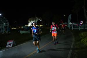 BIB: 
                            <button type="button" onclick="openModal(26171678)" class="btn btn-primary btn-sm float-right btn-popup" data-toggle="modal" data-target=".modal-high-quality">
                        <i class="fas fa-shopping-cart"></i> Add to Cart
                    </button>
                                            <button type="button" onclick="isThisMe(26171678, true)" class="btn btn-success btn-sm float-right btn-popup btn-isme hidden" data-toggle="tooltip" data-placement="bottom" title="นี่คือรูปของคุณใช่ไหม คลิกที่นี่เพื่อเอาเข้าอัลบั้ม">
                        <i class="fas fa-plus"></i> Add to album
                    </button>
                    <button type="button" onclick="isThisMe(26171678, false)" class="btn btn-warning btn-sm float-right btn-popup btn-isnotme hidden">
                        <i class="fas fa-ban"></i> Remove from album
                    </button>