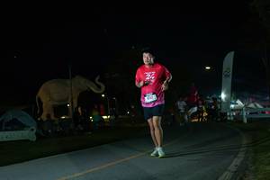 BIB: 
                            <button type="button" onclick="openModal(26172499)" class="btn btn-primary btn-sm float-right btn-popup" data-toggle="modal" data-target=".modal-high-quality">
                        <i class="fas fa-shopping-cart"></i> Add to Cart
                    </button>
                                            <button type="button" onclick="isThisMe(26172499, true)" class="btn btn-success btn-sm float-right btn-popup btn-isme hidden" data-toggle="tooltip" data-placement="bottom" title="นี่คือรูปของคุณใช่ไหม คลิกที่นี่เพื่อเอาเข้าอัลบั้ม">
                        <i class="fas fa-plus"></i> Add to album
                    </button>
                    <button type="button" onclick="isThisMe(26172499, false)" class="btn btn-warning btn-sm float-right btn-popup btn-isnotme hidden">
                        <i class="fas fa-ban"></i> Remove from album
                    </button>