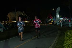 BIB: 
                            <button type="button" onclick="openModal(26173052)" class="btn btn-primary btn-sm float-right btn-popup" data-toggle="modal" data-target=".modal-high-quality">
                        <i class="fas fa-shopping-cart"></i> Add to Cart
                    </button>
                                            <button type="button" onclick="isThisMe(26173052, true)" class="btn btn-success btn-sm float-right btn-popup btn-isme hidden" data-toggle="tooltip" data-placement="bottom" title="นี่คือรูปของคุณใช่ไหม คลิกที่นี่เพื่อเอาเข้าอัลบั้ม">
                        <i class="fas fa-plus"></i> Add to album
                    </button>
                    <button type="button" onclick="isThisMe(26173052, false)" class="btn btn-warning btn-sm float-right btn-popup btn-isnotme hidden">
                        <i class="fas fa-ban"></i> Remove from album
                    </button>