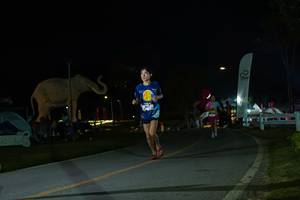 BIB: 
                            <button type="button" onclick="openModal(26172957)" class="btn btn-primary btn-sm float-right btn-popup" data-toggle="modal" data-target=".modal-high-quality">
                        <i class="fas fa-shopping-cart"></i> Add to Cart
                    </button>
                                            <button type="button" onclick="isThisMe(26172957, true)" class="btn btn-success btn-sm float-right btn-popup btn-isme hidden" data-toggle="tooltip" data-placement="bottom" title="นี่คือรูปของคุณใช่ไหม คลิกที่นี่เพื่อเอาเข้าอัลบั้ม">
                        <i class="fas fa-plus"></i> Add to album
                    </button>
                    <button type="button" onclick="isThisMe(26172957, false)" class="btn btn-warning btn-sm float-right btn-popup btn-isnotme hidden">
                        <i class="fas fa-ban"></i> Remove from album
                    </button>