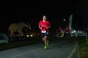 BIB: 
                            <button type="button" onclick="openModal(26172647)" class="btn btn-primary btn-sm float-right btn-popup" data-toggle="modal" data-target=".modal-high-quality">
                        <i class="fas fa-shopping-cart"></i> Add to Cart
                    </button>
                                            <button type="button" onclick="isThisMe(26172647, true)" class="btn btn-success btn-sm float-right btn-popup btn-isme hidden" data-toggle="tooltip" data-placement="bottom" title="นี่คือรูปของคุณใช่ไหม คลิกที่นี่เพื่อเอาเข้าอัลบั้ม">
                        <i class="fas fa-plus"></i> Add to album
                    </button>
                    <button type="button" onclick="isThisMe(26172647, false)" class="btn btn-warning btn-sm float-right btn-popup btn-isnotme hidden">
                        <i class="fas fa-ban"></i> Remove from album
                    </button>