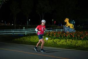 BIB: 
                            <button type="button" onclick="openModal(26171381)" class="btn btn-primary btn-sm float-right btn-popup" data-toggle="modal" data-target=".modal-high-quality">
                        <i class="fas fa-shopping-cart"></i> Add to Cart
                    </button>
                                            <button type="button" onclick="isThisMe(26171381, true)" class="btn btn-success btn-sm float-right btn-popup btn-isme hidden" data-toggle="tooltip" data-placement="bottom" title="นี่คือรูปของคุณใช่ไหม คลิกที่นี่เพื่อเอาเข้าอัลบั้ม">
                        <i class="fas fa-plus"></i> Add to album
                    </button>
                    <button type="button" onclick="isThisMe(26171381, false)" class="btn btn-warning btn-sm float-right btn-popup btn-isnotme hidden">
                        <i class="fas fa-ban"></i> Remove from album
                    </button>