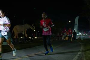 BIB: 
                            <button type="button" onclick="openModal(26172508)" class="btn btn-primary btn-sm float-right btn-popup" data-toggle="modal" data-target=".modal-high-quality">
                        <i class="fas fa-shopping-cart"></i> Add to Cart
                    </button>
                                            <button type="button" onclick="isThisMe(26172508, true)" class="btn btn-success btn-sm float-right btn-popup btn-isme hidden" data-toggle="tooltip" data-placement="bottom" title="นี่คือรูปของคุณใช่ไหม คลิกที่นี่เพื่อเอาเข้าอัลบั้ม">
                        <i class="fas fa-plus"></i> Add to album
                    </button>
                    <button type="button" onclick="isThisMe(26172508, false)" class="btn btn-warning btn-sm float-right btn-popup btn-isnotme hidden">
                        <i class="fas fa-ban"></i> Remove from album
                    </button>