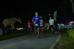 BIB: 
                            <button type="button" onclick="openModal(26172901)" class="btn btn-primary btn-sm float-right btn-popup" data-toggle="modal" data-target=".modal-high-quality">
                        <i class="fas fa-shopping-cart"></i> Add to Cart
                    </button>
                                            <button type="button" onclick="isThisMe(26172901, true)" class="btn btn-success btn-sm float-right btn-popup btn-isme hidden" data-toggle="tooltip" data-placement="bottom" title="นี่คือรูปของคุณใช่ไหม คลิกที่นี่เพื่อเอาเข้าอัลบั้ม">
                        <i class="fas fa-plus"></i> Add to album
                    </button>
                    <button type="button" onclick="isThisMe(26172901, false)" class="btn btn-warning btn-sm float-right btn-popup btn-isnotme hidden">
                        <i class="fas fa-ban"></i> Remove from album
                    </button>