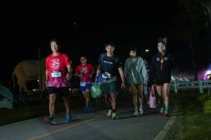 BIB: 
                            <button type="button" onclick="openModal(26172485)" class="btn btn-primary btn-sm float-right btn-popup" data-toggle="modal" data-target=".modal-high-quality">
                        <i class="fas fa-shopping-cart"></i> Add to Cart
                    </button>
                                            <button type="button" onclick="isThisMe(26172485, true)" class="btn btn-success btn-sm float-right btn-popup btn-isme hidden" data-toggle="tooltip" data-placement="bottom" title="นี่คือรูปของคุณใช่ไหม คลิกที่นี่เพื่อเอาเข้าอัลบั้ม">
                        <i class="fas fa-plus"></i> Add to album
                    </button>
                    <button type="button" onclick="isThisMe(26172485, false)" class="btn btn-warning btn-sm float-right btn-popup btn-isnotme hidden">
                        <i class="fas fa-ban"></i> Remove from album
                    </button>