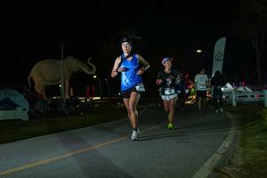 BIB: 
                            <button type="button" onclick="openModal(26172895)" class="btn btn-primary btn-sm float-right btn-popup" data-toggle="modal" data-target=".modal-high-quality">
                        <i class="fas fa-shopping-cart"></i> Add to Cart
                    </button>
                                            <button type="button" onclick="isThisMe(26172895, true)" class="btn btn-success btn-sm float-right btn-popup btn-isme hidden" data-toggle="tooltip" data-placement="bottom" title="นี่คือรูปของคุณใช่ไหม คลิกที่นี่เพื่อเอาเข้าอัลบั้ม">
                        <i class="fas fa-plus"></i> Add to album
                    </button>
                    <button type="button" onclick="isThisMe(26172895, false)" class="btn btn-warning btn-sm float-right btn-popup btn-isnotme hidden">
                        <i class="fas fa-ban"></i> Remove from album
                    </button>