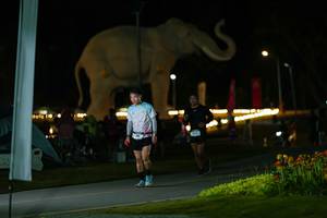 BIB: 
                            <button type="button" onclick="openModal(26173068)" class="btn btn-primary btn-sm float-right btn-popup" data-toggle="modal" data-target=".modal-high-quality">
                        <i class="fas fa-shopping-cart"></i> Add to Cart
                    </button>
                                            <button type="button" onclick="isThisMe(26173068, true)" class="btn btn-success btn-sm float-right btn-popup btn-isme hidden" data-toggle="tooltip" data-placement="bottom" title="นี่คือรูปของคุณใช่ไหม คลิกที่นี่เพื่อเอาเข้าอัลบั้ม">
                        <i class="fas fa-plus"></i> Add to album
                    </button>
                    <button type="button" onclick="isThisMe(26173068, false)" class="btn btn-warning btn-sm float-right btn-popup btn-isnotme hidden">
                        <i class="fas fa-ban"></i> Remove from album
                    </button>