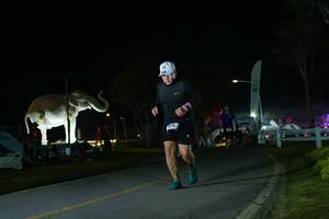 BIB: 
                            <button type="button" onclick="openModal(26172350)" class="btn btn-primary btn-sm float-right btn-popup" data-toggle="modal" data-target=".modal-high-quality">
                        <i class="fas fa-shopping-cart"></i> Add to Cart
                    </button>
                                            <button type="button" onclick="isThisMe(26172350, true)" class="btn btn-success btn-sm float-right btn-popup btn-isme hidden" data-toggle="tooltip" data-placement="bottom" title="นี่คือรูปของคุณใช่ไหม คลิกที่นี่เพื่อเอาเข้าอัลบั้ม">
                        <i class="fas fa-plus"></i> Add to album
                    </button>
                    <button type="button" onclick="isThisMe(26172350, false)" class="btn btn-warning btn-sm float-right btn-popup btn-isnotme hidden">
                        <i class="fas fa-ban"></i> Remove from album
                    </button>