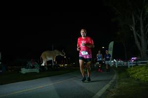 BIB: 
                            <button type="button" onclick="openModal(26171883)" class="btn btn-primary btn-sm float-right btn-popup" data-toggle="modal" data-target=".modal-high-quality">
                        <i class="fas fa-shopping-cart"></i> Add to Cart
                    </button>
                                            <button type="button" onclick="isThisMe(26171883, true)" class="btn btn-success btn-sm float-right btn-popup btn-isme hidden" data-toggle="tooltip" data-placement="bottom" title="นี่คือรูปของคุณใช่ไหม คลิกที่นี่เพื่อเอาเข้าอัลบั้ม">
                        <i class="fas fa-plus"></i> Add to album
                    </button>
                    <button type="button" onclick="isThisMe(26171883, false)" class="btn btn-warning btn-sm float-right btn-popup btn-isnotme hidden">
                        <i class="fas fa-ban"></i> Remove from album
                    </button>