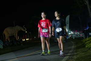 BIB: 
                            <button type="button" onclick="openModal(26172610)" class="btn btn-primary btn-sm float-right btn-popup" data-toggle="modal" data-target=".modal-high-quality">
                        <i class="fas fa-shopping-cart"></i> Add to Cart
                    </button>
                                            <button type="button" onclick="isThisMe(26172610, true)" class="btn btn-success btn-sm float-right btn-popup btn-isme hidden" data-toggle="tooltip" data-placement="bottom" title="นี่คือรูปของคุณใช่ไหม คลิกที่นี่เพื่อเอาเข้าอัลบั้ม">
                        <i class="fas fa-plus"></i> Add to album
                    </button>
                    <button type="button" onclick="isThisMe(26172610, false)" class="btn btn-warning btn-sm float-right btn-popup btn-isnotme hidden">
                        <i class="fas fa-ban"></i> Remove from album
                    </button>