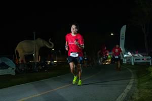 BIB: 
                            <button type="button" onclick="openModal(26172649)" class="btn btn-primary btn-sm float-right btn-popup" data-toggle="modal" data-target=".modal-high-quality">
                        <i class="fas fa-shopping-cart"></i> Add to Cart
                    </button>
                                            <button type="button" onclick="isThisMe(26172649, true)" class="btn btn-success btn-sm float-right btn-popup btn-isme hidden" data-toggle="tooltip" data-placement="bottom" title="นี่คือรูปของคุณใช่ไหม คลิกที่นี่เพื่อเอาเข้าอัลบั้ม">
                        <i class="fas fa-plus"></i> Add to album
                    </button>
                    <button type="button" onclick="isThisMe(26172649, false)" class="btn btn-warning btn-sm float-right btn-popup btn-isnotme hidden">
                        <i class="fas fa-ban"></i> Remove from album
                    </button>