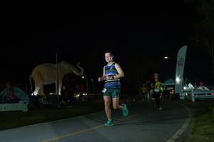 BIB: 
                            <button type="button" onclick="openModal(26172065)" class="btn btn-primary btn-sm float-right btn-popup" data-toggle="modal" data-target=".modal-high-quality">
                        <i class="fas fa-shopping-cart"></i> Add to Cart
                    </button>
                                            <button type="button" onclick="isThisMe(26172065, true)" class="btn btn-success btn-sm float-right btn-popup btn-isme hidden" data-toggle="tooltip" data-placement="bottom" title="นี่คือรูปของคุณใช่ไหม คลิกที่นี่เพื่อเอาเข้าอัลบั้ม">
                        <i class="fas fa-plus"></i> Add to album
                    </button>
                    <button type="button" onclick="isThisMe(26172065, false)" class="btn btn-warning btn-sm float-right btn-popup btn-isnotme hidden">
                        <i class="fas fa-ban"></i> Remove from album
                    </button>