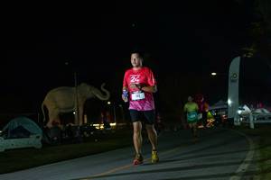 BIB: 
                            <button type="button" onclick="openModal(26172539)" class="btn btn-primary btn-sm float-right btn-popup" data-toggle="modal" data-target=".modal-high-quality">
                        <i class="fas fa-shopping-cart"></i> Add to Cart
                    </button>
                                            <button type="button" onclick="isThisMe(26172539, true)" class="btn btn-success btn-sm float-right btn-popup btn-isme hidden" data-toggle="tooltip" data-placement="bottom" title="นี่คือรูปของคุณใช่ไหม คลิกที่นี่เพื่อเอาเข้าอัลบั้ม">
                        <i class="fas fa-plus"></i> Add to album
                    </button>
                    <button type="button" onclick="isThisMe(26172539, false)" class="btn btn-warning btn-sm float-right btn-popup btn-isnotme hidden">
                        <i class="fas fa-ban"></i> Remove from album
                    </button>