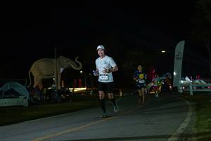 BIB: 
                            <button type="button" onclick="openModal(26172954)" class="btn btn-primary btn-sm float-right btn-popup" data-toggle="modal" data-target=".modal-high-quality">
                        <i class="fas fa-shopping-cart"></i> Add to Cart
                    </button>
                                            <button type="button" onclick="isThisMe(26172954, true)" class="btn btn-success btn-sm float-right btn-popup btn-isme hidden" data-toggle="tooltip" data-placement="bottom" title="นี่คือรูปของคุณใช่ไหม คลิกที่นี่เพื่อเอาเข้าอัลบั้ม">
                        <i class="fas fa-plus"></i> Add to album
                    </button>
                    <button type="button" onclick="isThisMe(26172954, false)" class="btn btn-warning btn-sm float-right btn-popup btn-isnotme hidden">
                        <i class="fas fa-ban"></i> Remove from album
                    </button>