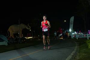 BIB: 
                            <button type="button" onclick="openModal(26172940)" class="btn btn-primary btn-sm float-right btn-popup" data-toggle="modal" data-target=".modal-high-quality">
                        <i class="fas fa-shopping-cart"></i> Add to Cart
                    </button>
                                            <button type="button" onclick="isThisMe(26172940, true)" class="btn btn-success btn-sm float-right btn-popup btn-isme hidden" data-toggle="tooltip" data-placement="bottom" title="นี่คือรูปของคุณใช่ไหม คลิกที่นี่เพื่อเอาเข้าอัลบั้ม">
                        <i class="fas fa-plus"></i> Add to album
                    </button>
                    <button type="button" onclick="isThisMe(26172940, false)" class="btn btn-warning btn-sm float-right btn-popup btn-isnotme hidden">
                        <i class="fas fa-ban"></i> Remove from album
                    </button>