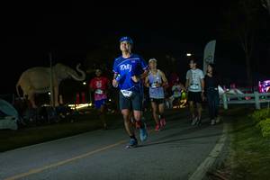 BIB: 
                            <button type="button" onclick="openModal(26172905)" class="btn btn-primary btn-sm float-right btn-popup" data-toggle="modal" data-target=".modal-high-quality">
                        <i class="fas fa-shopping-cart"></i> Add to Cart
                    </button>
                                            <button type="button" onclick="isThisMe(26172905, true)" class="btn btn-success btn-sm float-right btn-popup btn-isme hidden" data-toggle="tooltip" data-placement="bottom" title="นี่คือรูปของคุณใช่ไหม คลิกที่นี่เพื่อเอาเข้าอัลบั้ม">
                        <i class="fas fa-plus"></i> Add to album
                    </button>
                    <button type="button" onclick="isThisMe(26172905, false)" class="btn btn-warning btn-sm float-right btn-popup btn-isnotme hidden">
                        <i class="fas fa-ban"></i> Remove from album
                    </button>