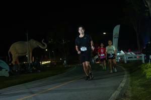 BIB: 
                            <button type="button" onclick="openModal(26172722)" class="btn btn-primary btn-sm float-right btn-popup" data-toggle="modal" data-target=".modal-high-quality">
                        <i class="fas fa-shopping-cart"></i> Add to Cart
                    </button>
                                            <button type="button" onclick="isThisMe(26172722, true)" class="btn btn-success btn-sm float-right btn-popup btn-isme hidden" data-toggle="tooltip" data-placement="bottom" title="นี่คือรูปของคุณใช่ไหม คลิกที่นี่เพื่อเอาเข้าอัลบั้ม">
                        <i class="fas fa-plus"></i> Add to album
                    </button>
                    <button type="button" onclick="isThisMe(26172722, false)" class="btn btn-warning btn-sm float-right btn-popup btn-isnotme hidden">
                        <i class="fas fa-ban"></i> Remove from album
                    </button>