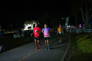 BIB: 
                            <button type="button" onclick="openModal(26171761)" class="btn btn-primary btn-sm float-right btn-popup" data-toggle="modal" data-target=".modal-high-quality">
                        <i class="fas fa-shopping-cart"></i> Add to Cart
                    </button>
                                            <button type="button" onclick="isThisMe(26171761, true)" class="btn btn-success btn-sm float-right btn-popup btn-isme hidden" data-toggle="tooltip" data-placement="bottom" title="นี่คือรูปของคุณใช่ไหม คลิกที่นี่เพื่อเอาเข้าอัลบั้ม">
                        <i class="fas fa-plus"></i> Add to album
                    </button>
                    <button type="button" onclick="isThisMe(26171761, false)" class="btn btn-warning btn-sm float-right btn-popup btn-isnotme hidden">
                        <i class="fas fa-ban"></i> Remove from album
                    </button>