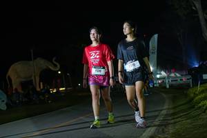 BIB: 
                            <button type="button" onclick="openModal(26172611)" class="btn btn-primary btn-sm float-right btn-popup" data-toggle="modal" data-target=".modal-high-quality">
                        <i class="fas fa-shopping-cart"></i> Add to Cart
                    </button>
                                            <button type="button" onclick="isThisMe(26172611, true)" class="btn btn-success btn-sm float-right btn-popup btn-isme hidden" data-toggle="tooltip" data-placement="bottom" title="นี่คือรูปของคุณใช่ไหม คลิกที่นี่เพื่อเอาเข้าอัลบั้ม">
                        <i class="fas fa-plus"></i> Add to album
                    </button>
                    <button type="button" onclick="isThisMe(26172611, false)" class="btn btn-warning btn-sm float-right btn-popup btn-isnotme hidden">
                        <i class="fas fa-ban"></i> Remove from album
                    </button>