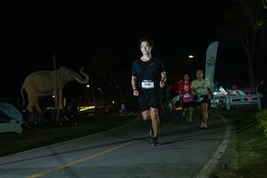 BIB: 
                            <button type="button" onclick="openModal(26172721)" class="btn btn-primary btn-sm float-right btn-popup" data-toggle="modal" data-target=".modal-high-quality">
                        <i class="fas fa-shopping-cart"></i> Add to Cart
                    </button>
                                            <button type="button" onclick="isThisMe(26172721, true)" class="btn btn-success btn-sm float-right btn-popup btn-isme hidden" data-toggle="tooltip" data-placement="bottom" title="นี่คือรูปของคุณใช่ไหม คลิกที่นี่เพื่อเอาเข้าอัลบั้ม">
                        <i class="fas fa-plus"></i> Add to album
                    </button>
                    <button type="button" onclick="isThisMe(26172721, false)" class="btn btn-warning btn-sm float-right btn-popup btn-isnotme hidden">
                        <i class="fas fa-ban"></i> Remove from album
                    </button>