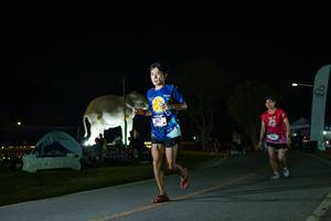 BIB: 
                            <button type="button" onclick="openModal(26172179)" class="btn btn-primary btn-sm float-right btn-popup" data-toggle="modal" data-target=".modal-high-quality">
                        <i class="fas fa-shopping-cart"></i> Add to Cart
                    </button>
                                            <button type="button" onclick="isThisMe(26172179, true)" class="btn btn-success btn-sm float-right btn-popup btn-isme hidden" data-toggle="tooltip" data-placement="bottom" title="นี่คือรูปของคุณใช่ไหม คลิกที่นี่เพื่อเอาเข้าอัลบั้ม">
                        <i class="fas fa-plus"></i> Add to album
                    </button>
                    <button type="button" onclick="isThisMe(26172179, false)" class="btn btn-warning btn-sm float-right btn-popup btn-isnotme hidden">
                        <i class="fas fa-ban"></i> Remove from album
                    </button>